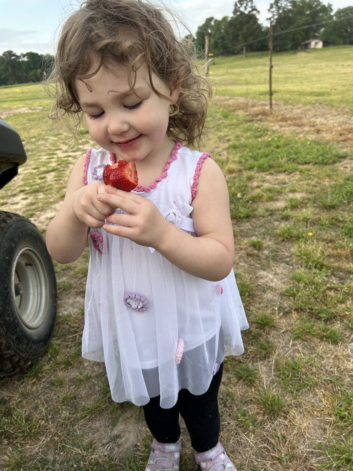 A young girl happily holding a red strawberry in a grassy field.